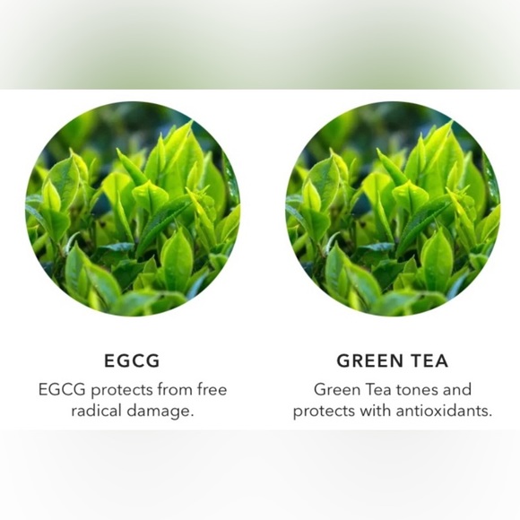 100 Pure Skincare 0 Pure Green Tea Egcg Concentrate Cream Poshmark